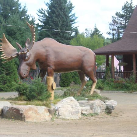 L'Auberge Refuge Du Trappeur Saint-Mathieu-du-Parc Dış mekan fotoğraf