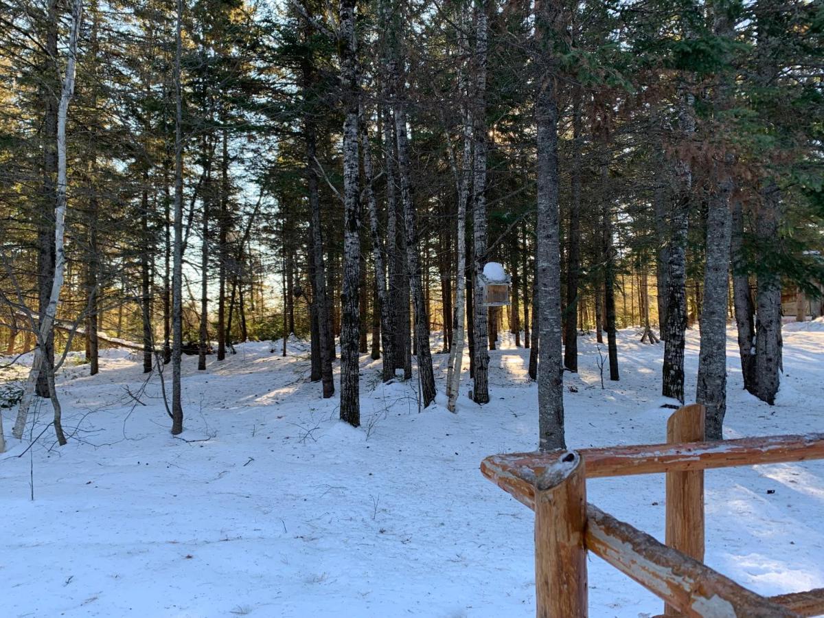 L'Auberge Refuge Du Trappeur Saint-Mathieu-du-Parc Dış mekan fotoğraf