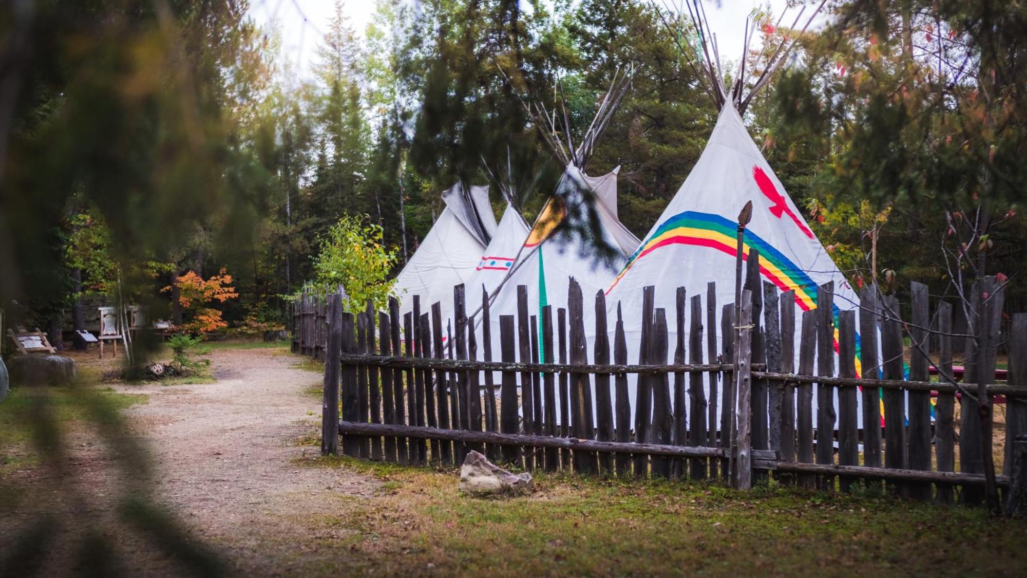 L'Auberge Refuge Du Trappeur Saint-Mathieu-du-Parc Dış mekan fotoğraf