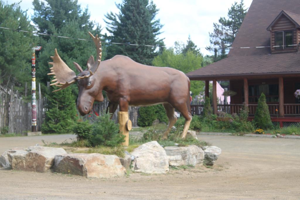 L'Auberge Refuge Du Trappeur Saint-Mathieu-du-Parc Dış mekan fotoğraf