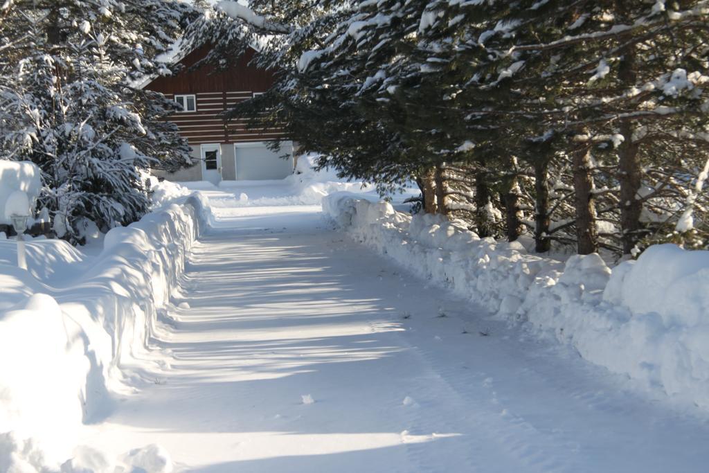 L'Auberge Refuge Du Trappeur Saint-Mathieu-du-Parc Dış mekan fotoğraf